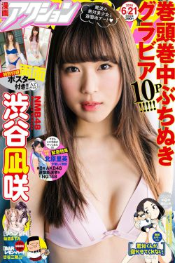 公安局长